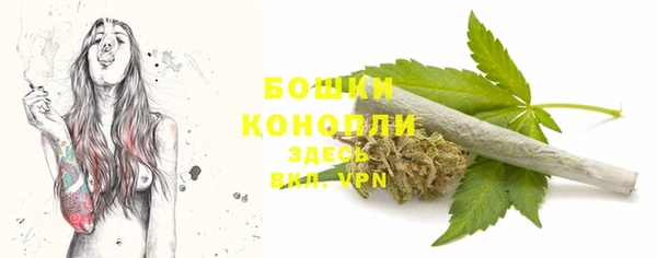 альфа пвп Краснослободск