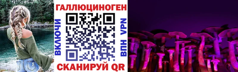 купить закладку  darknet телеграм  Псилоцибиновые грибы мухоморы  Медвежьегорск 